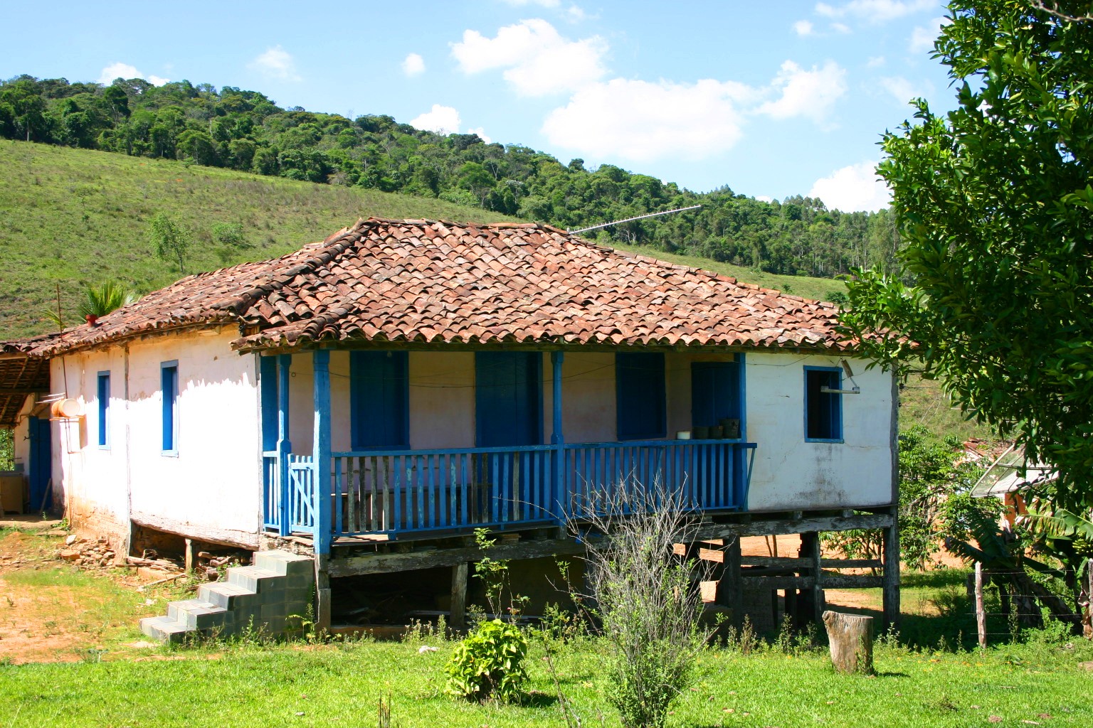 Carta do Zé agricultor para o Luis da cidade