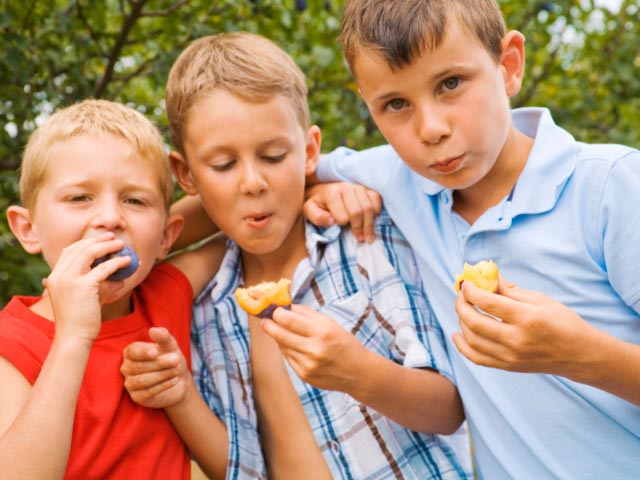 ¿Cómo alimentar a los niños?