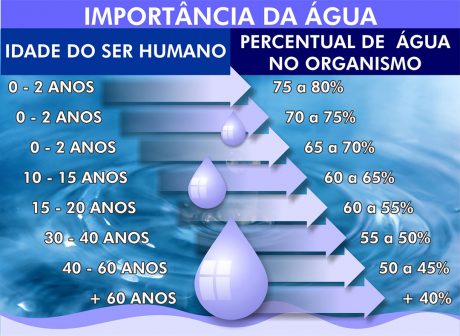 Agua y Envejecimiento