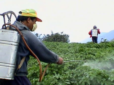 Agrotóxicos e Aditivos