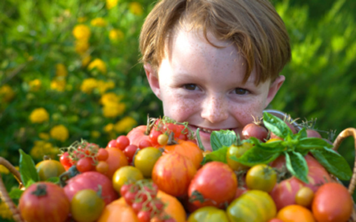 Crianças gostam de frutas e verduras