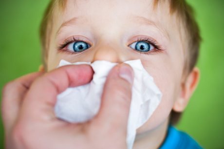 Alergia é curável - um novo enfoque Parte 1