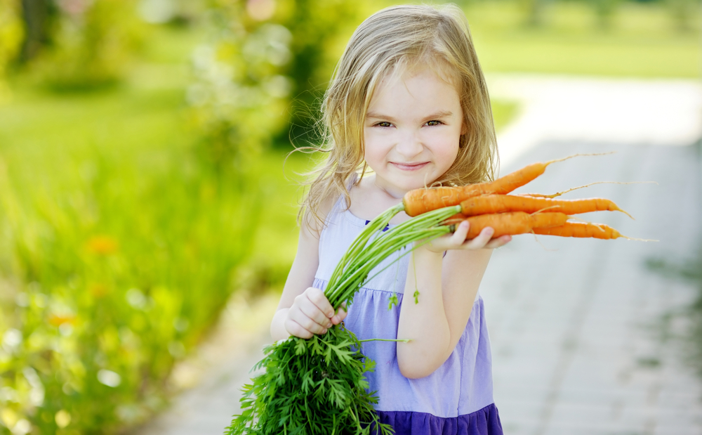 Criando pequenos Vegetarianos