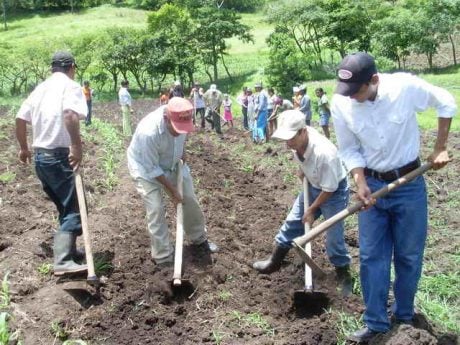 Crianças e nosso trabalho