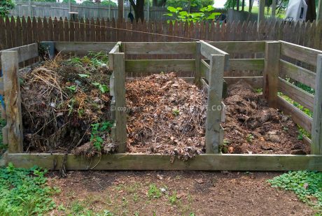 Saiba mais sobre Compostagem