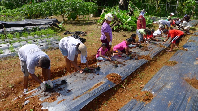 3 mitos sobre a agroecologia