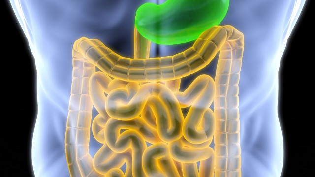 10 Motivos para consumir probióticos e fermentados