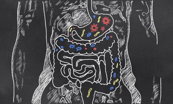 O eixo intestino-cérebro: Como os micróbios afetam o humor, a mente e muito mais