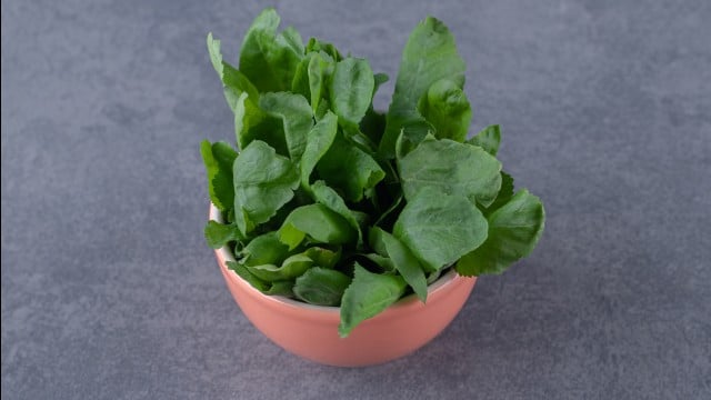 Cientistas determinam qual é o vegetal “perfeito” graças ao seu poderoso perfil nutricional