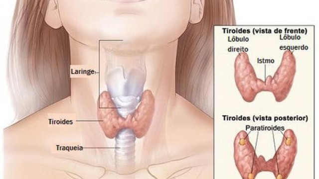 Sintomas de uma tireoide hipoativa e menopausa