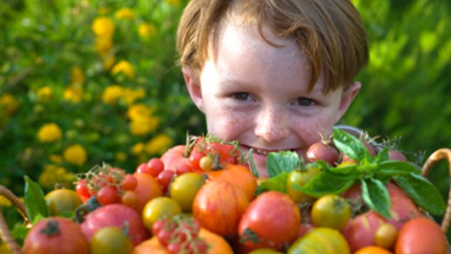 Crianças gostam de frutas e verduras