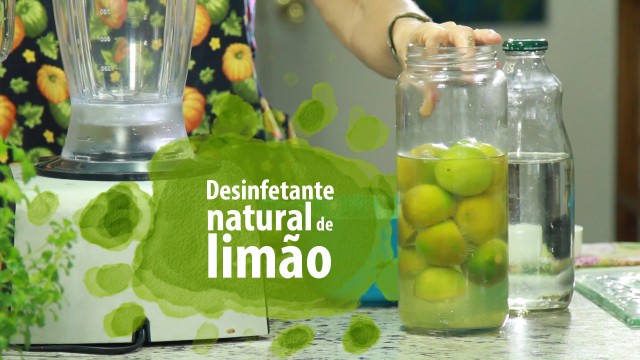 Desinfetante ECO-LÓGICO de Limão