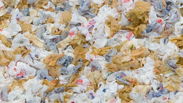 Vídeo: Reflexões sobre as sacolas plásticas
