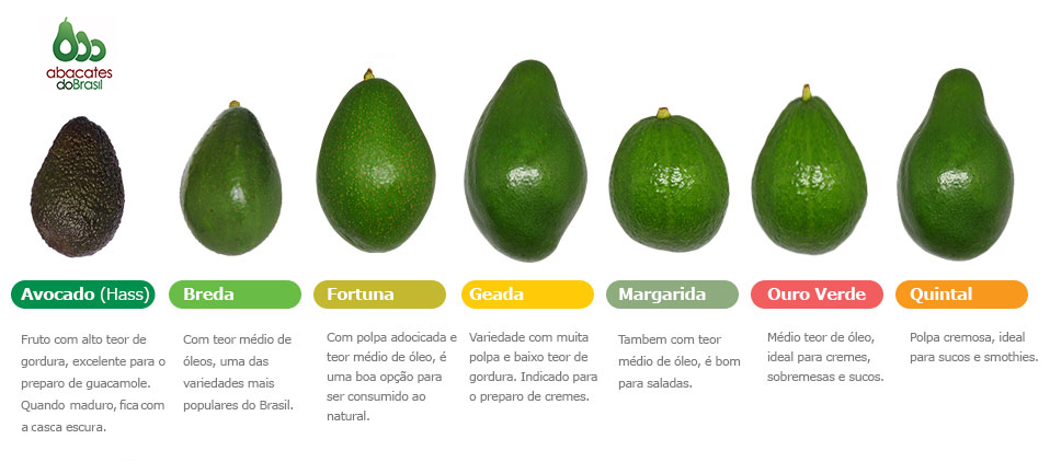 Tipos de abacate